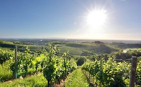 Ferienwohnungen Weingut Pieper Basler